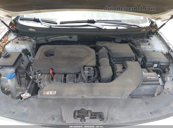 5NPE24AF5GH374207 2016 HYUNDAI SONATA White Հետևի տեսք