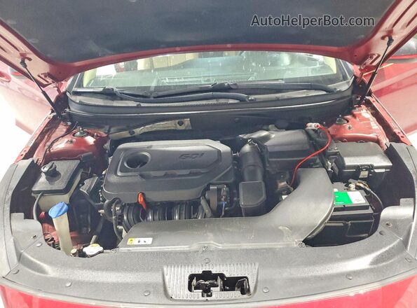 5NPE24AF5GH426225 2016 HYUNDAI SONATA Burgundy უკანა სალონის ხედი