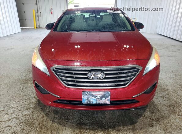 5NPE24AF5GH426225 2016 HYUNDAI SONATA Burgundy წინა ხედი
