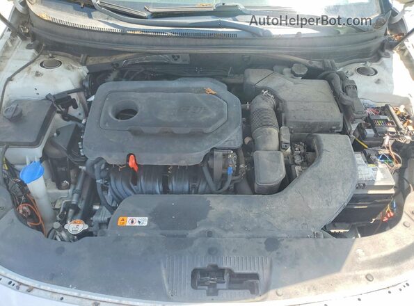 5NPE24AF5HH520204 2017 HYUNDAI SONATA White Սալոնի հետևի տեսք