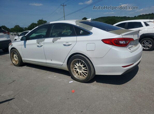 5NPE24AF5HH520204 2017 HYUNDAI SONATA White Հետևի ձախ