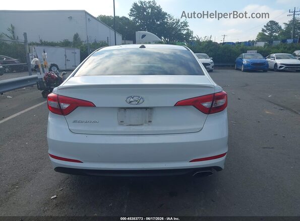 5NPE24AF5HH576823 2017 HYUNDAI SONATA Белый 