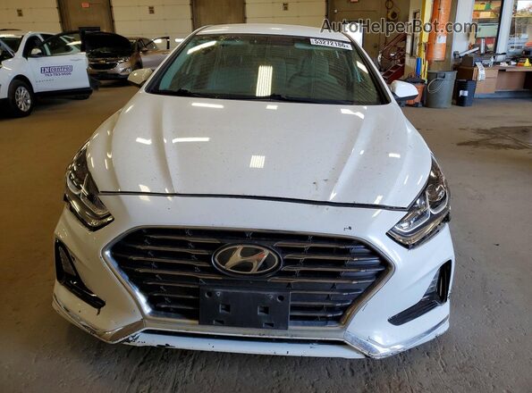 5NPE24AF5KH759596 2019 HYUNDAI SONATA White Front view
