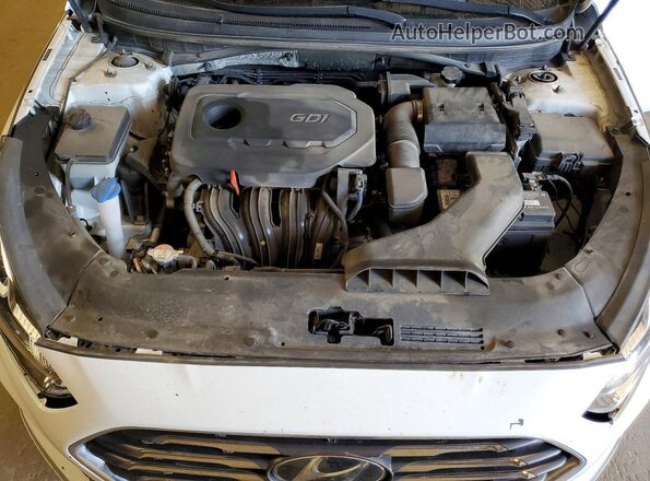 5NPE24AF5KH759596 2019 HYUNDAI SONATA White Rear interior view