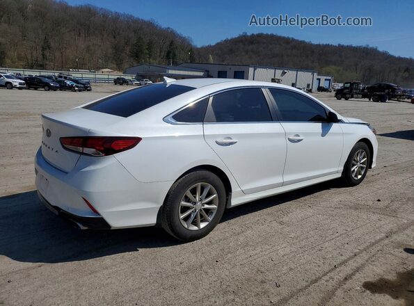 5NPE24AF5KH814922 2019 HYUNDAI SONATA White უკანა მარჯვენა