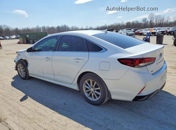 5NPE24AF5KH814922 2019 HYUNDAI SONATA White უკანა მარცხენა