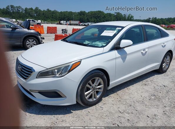 5NPE24AF6GH278120 2016 HYUNDAI SONATA White Передня ліва чверть