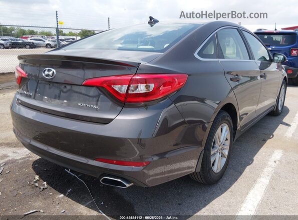 5NPE24AF6GH298853 2016 HYUNDAI SONATA Brown უკანა მარჯვენა