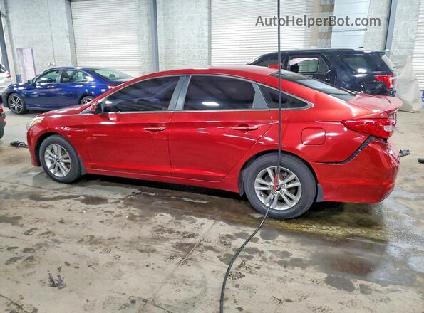 5NPE24AF6GH337599 2016 HYUNDAI SONATA Maroon Trasero izquierdo