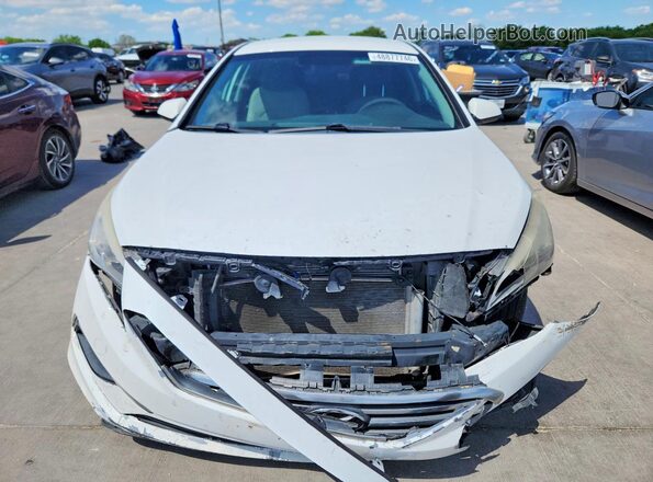 5NPE24AF6HH445612 2017 HYUNDAI SONATA White 