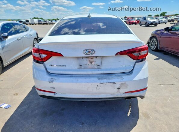 5NPE24AF6HH445612 2017 HYUNDAI SONATA White 
