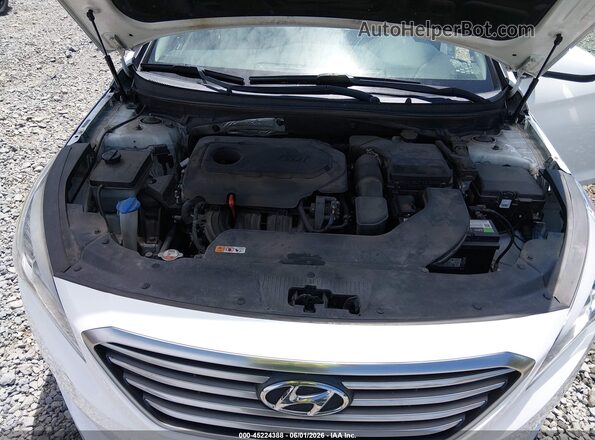 5NPE24AF6HH564177 2017 HYUNDAI SONATA White Widok z tyłu
