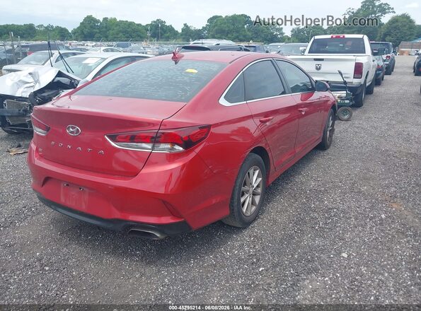 5NPE24AF6KH767190 2019 HYUNDAI SONATA Red Trasero derecho