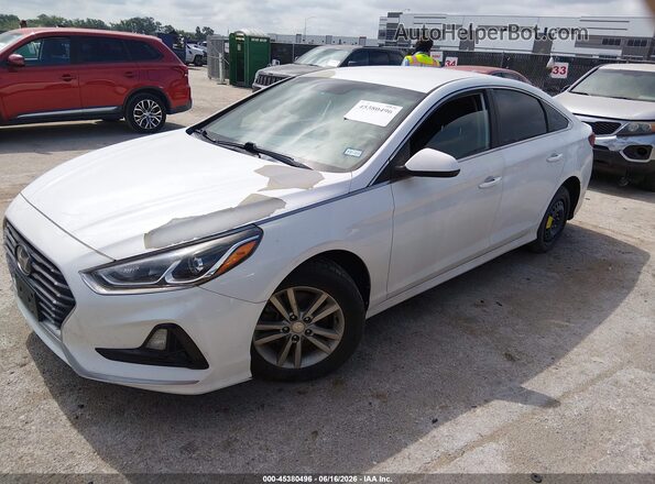5NPE24AF6KH767478 2019 HYUNDAI SONATA White 