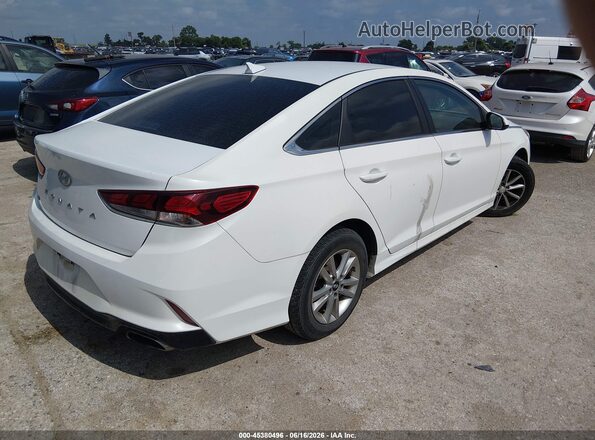 5NPE24AF6KH767478 2019 HYUNDAI SONATA White 