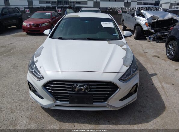 5NPE24AF6KH767478 2019 HYUNDAI SONATA White 