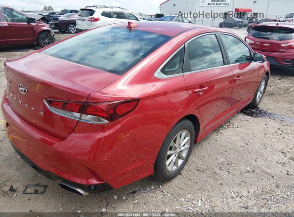 5NPE24AF6KH771966 2019 HYUNDAI SONATA Red Հետևի աջ