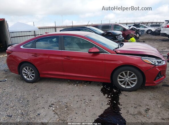 5NPE24AF6KH771966 2019 HYUNDAI SONATA Red Սալոնի հետևի տեսք