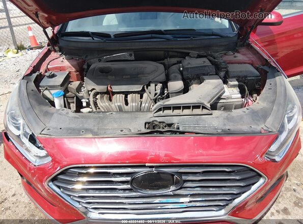 5NPE24AF6KH771966 2019 HYUNDAI SONATA Red Հետևի տեսք