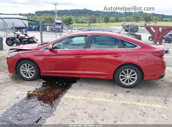 5NPE24AF6KH771966 2019 HYUNDAI SONATA Red Սալոնի 360 աստիճան տեսք