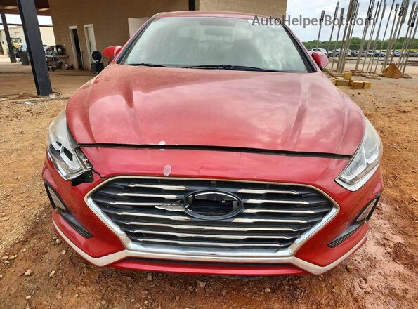 5NPE24AF6KH794891 2019 HYUNDAI SONATA Red 