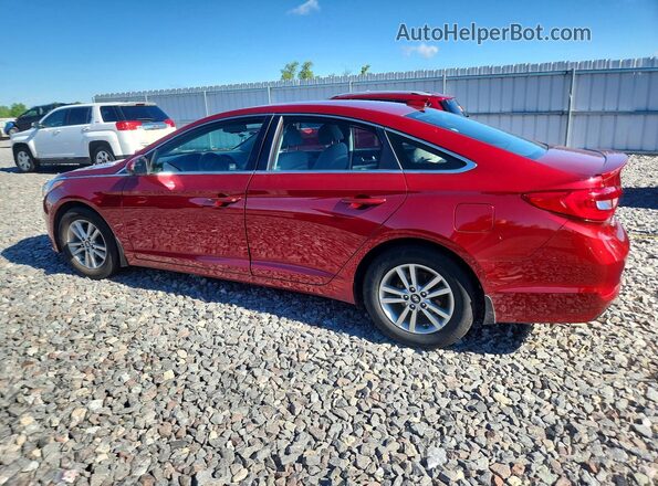 5NPE24AF7GH287893 2016 HYUNDAI SONATA Red Rear left