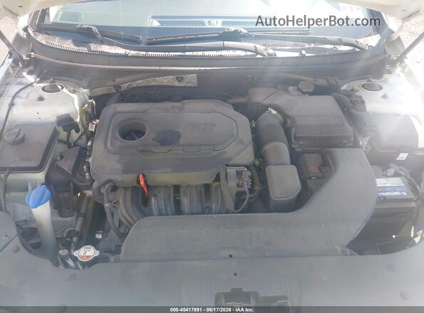 5NPE24AF7GH379361 2016 HYUNDAI SONATA White Հետևի տեսք