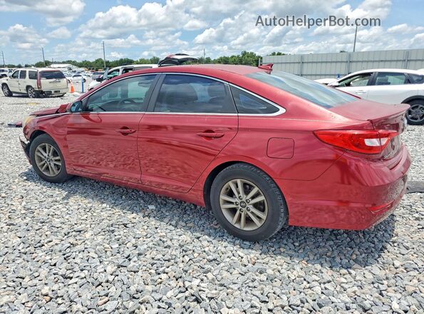 5NPE24AF7GH390747 2016 HYUNDAI SONATA Burgundy 