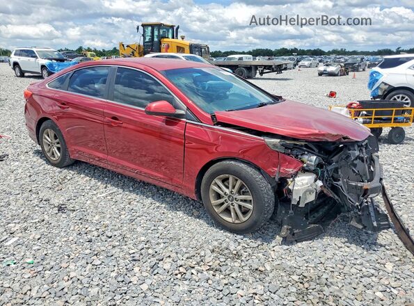 5NPE24AF7GH390747 2016 HYUNDAI SONATA Burgundy 
