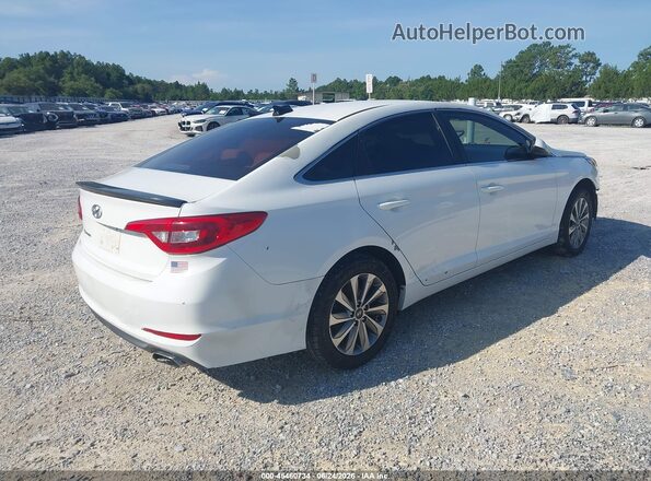 5NPE24AF7GH403061 2016 HYUNDAI SONATA White Հետևի աջ