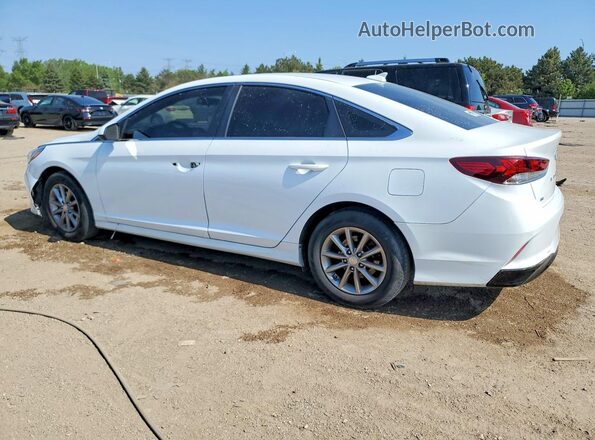 5NPE24AF7KH802402 2019 HYUNDAI SONATA White Հետևի ձախ