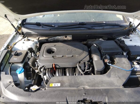 5NPE24AF8GH271928 2016 HYUNDAI SONATA White უკანა ხედი