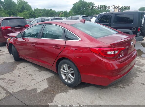 5NPE24AF8GH304748 2016 HYUNDAI SONATA Red Հետևի ձախ
