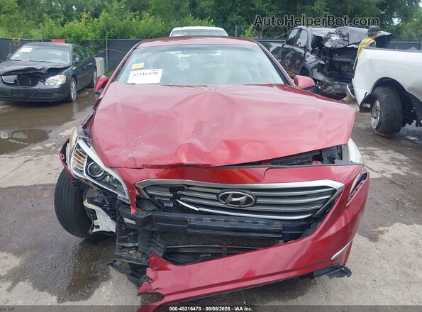 5NPE24AF8GH304748 2016 HYUNDAI SONATA Red Սալոնի հետևի տեսք
