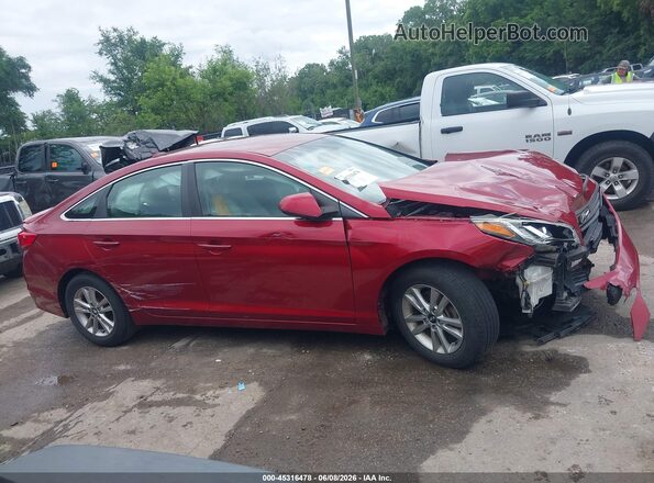 5NPE24AF8GH304748 2016 HYUNDAI SONATA Red Սալոնի 360 աստիճան տեսք