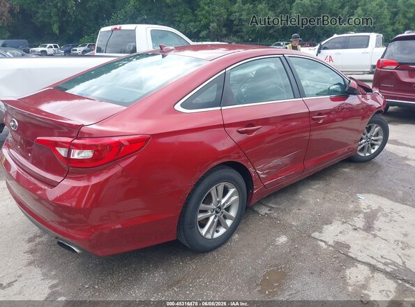5NPE24AF8GH304748 2016 HYUNDAI SONATA Red Հետևի աջ