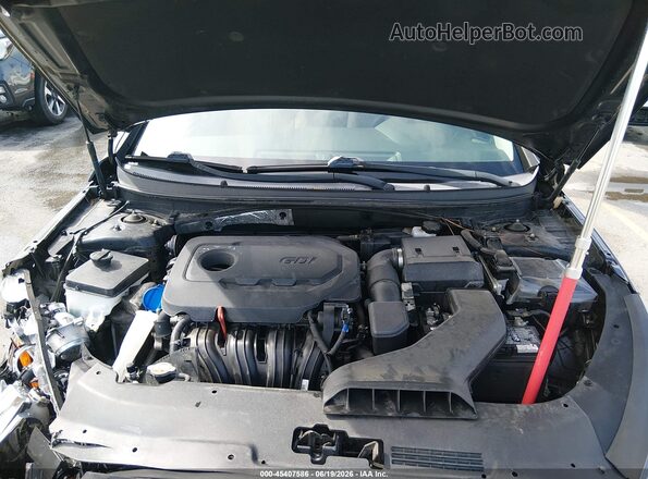 5NPE24AF8KH806488 2019 HYUNDAI SONATA Black Rear view