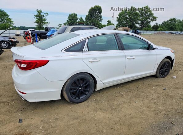 5NPE24AF9GH295218 2016 HYUNDAI SONATA White Հետևի աջ