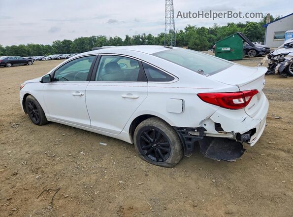 5NPE24AF9GH295218 2016 HYUNDAI SONATA White Հետևի ձախ