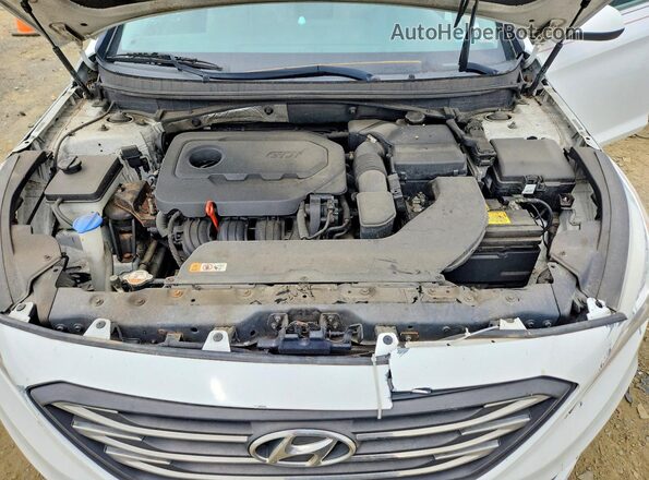 5NPE24AF9GH295218 2016 HYUNDAI SONATA White Սալոնի հետևի տեսք