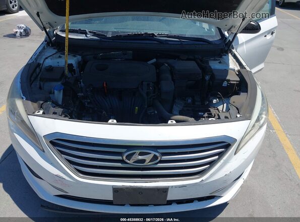 5NPE24AF9GH316729 2016 HYUNDAI SONATA White Rear view