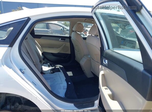 5NPE24AF9GH316729 2016 HYUNDAI SONATA White VIN sticker view