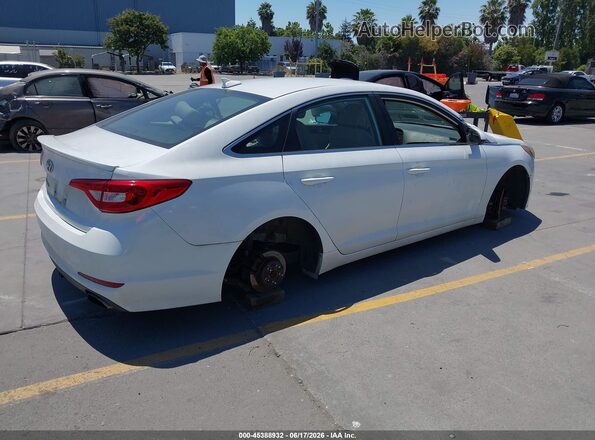 5NPE24AF9GH316729 2016 HYUNDAI SONATA White Rear right