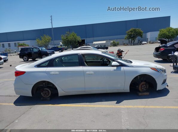 5NPE24AF9GH316729 2016 HYUNDAI SONATA White Rear interior view
