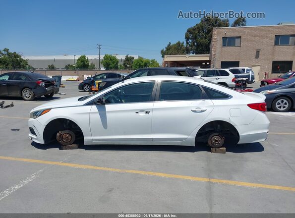 5NPE24AF9GH316729 2016 HYUNDAI SONATA White 360 interior view