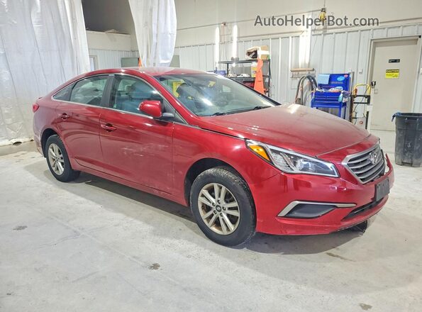 5NPE24AF9GH370760 2016 HYUNDAI SONATA Red Передня права чверть
