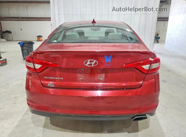 5NPE24AF9GH370760 2016 HYUNDAI SONATA Red Вид ззаду
