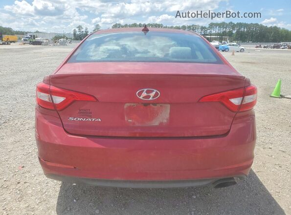 5NPE24AF9GH420489 2016 HYUNDAI SONATA Red Widok z tyłu
