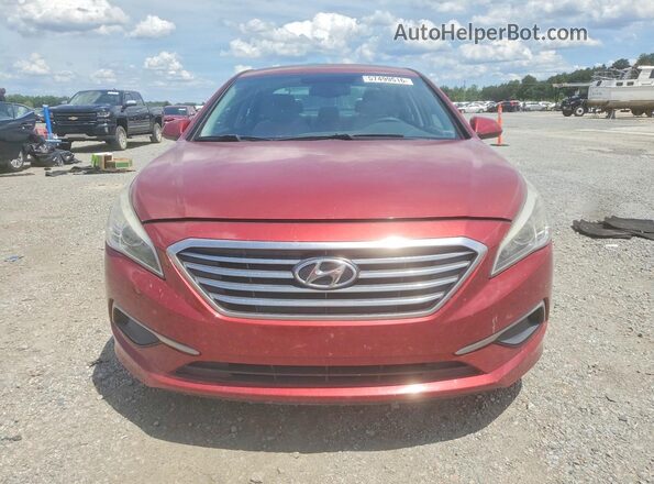 5NPE24AF9GH420489 2016 HYUNDAI SONATA Red Widok z przodu