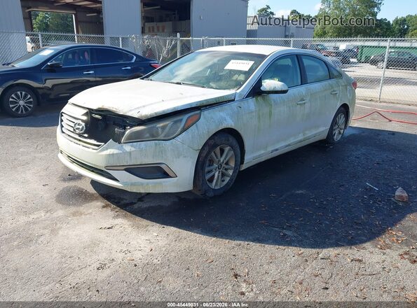 5NPE24AF9HH507083 2017 HYUNDAI SONATA White Front left